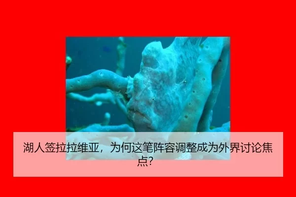 hu-ren-qian-la-la-wei-ya-wei-he-zhe-bi-zhen-rong-tiao-zheng-cheng-wei-wai-jie-tao-lun-jiao-dian-2-460.jpg