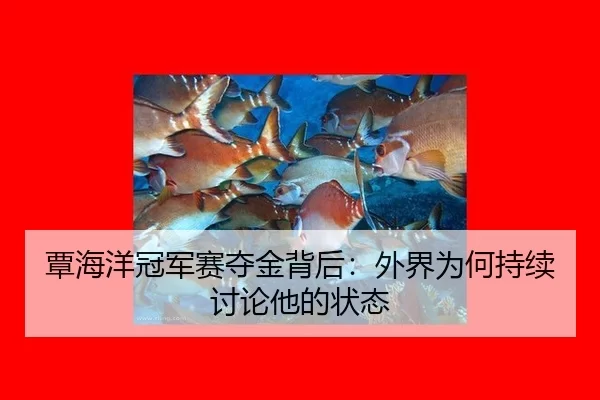 覃海洋冠军赛夺金背后：外界为何持续讨论他的状态
